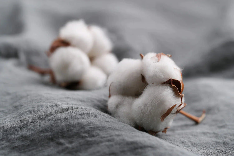 Organic & Eco Friendly Clothing & Accessories | Oscar & Me | Clothing & Accessories 0-13 Years