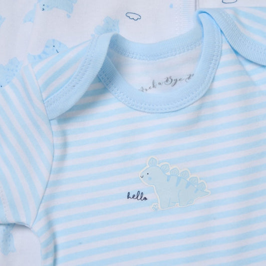 Baby Boys Dinosaur Gift Set