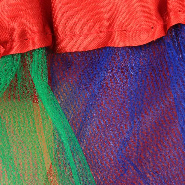 Rainbow Net Tutu