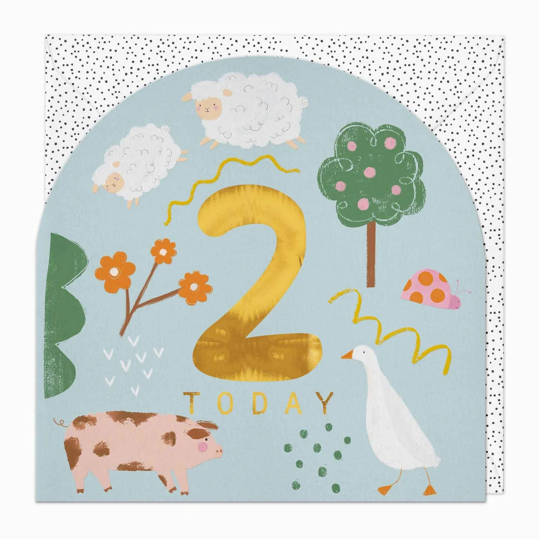 Little Joy 2nd Birthday Card