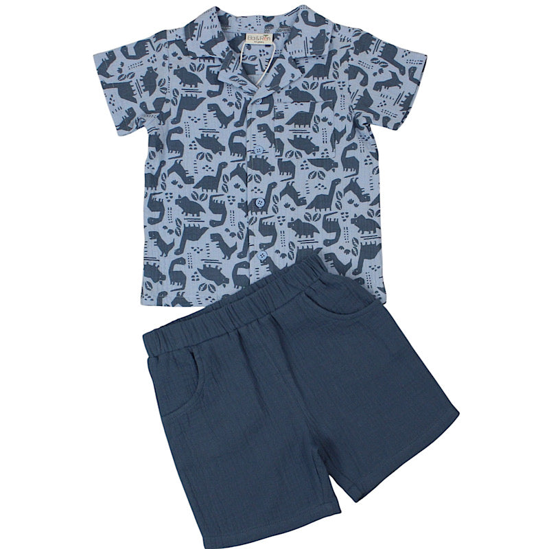 Baby Boys Muslin Shirt & Shorts Outfit