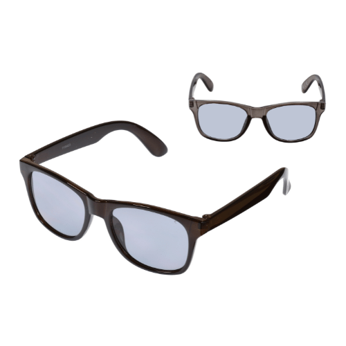 Plastic Wayfarer Sunglasses