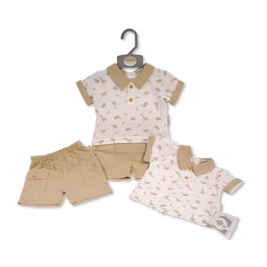 Baby Boys Dinosaur Outfit