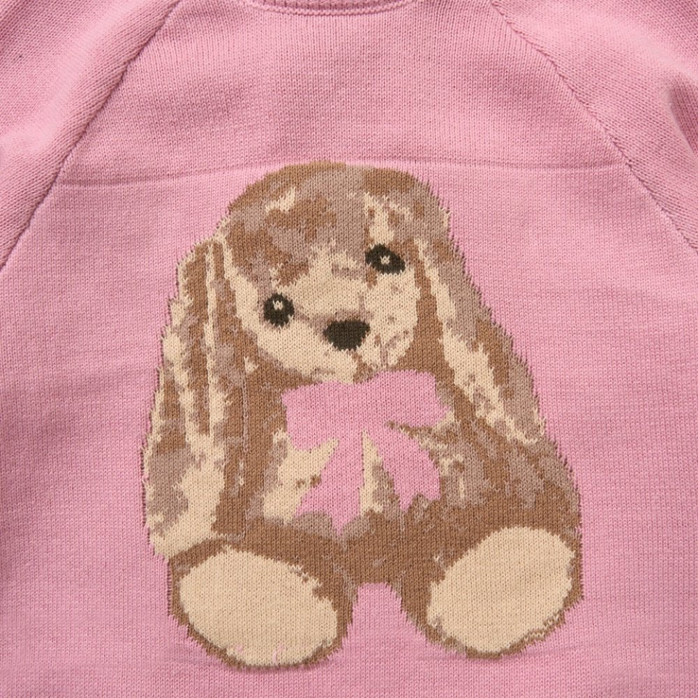 Baby Girls Knitted Outfit