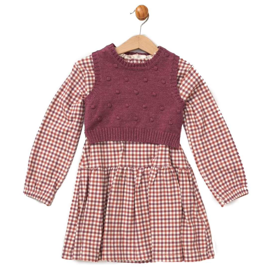 Baby Girls Check Dress & Sweater Vest