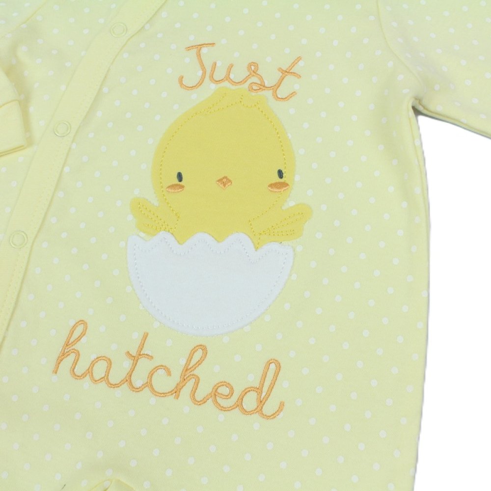 Baby Just Hatched Sleepsuit