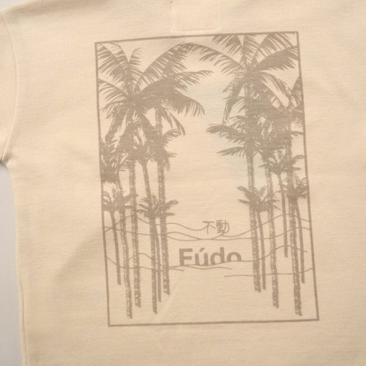 Baby Boys Shorts Outfit