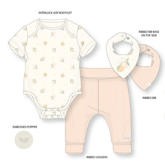 Baby Girls Organic 4 Piece Outfit