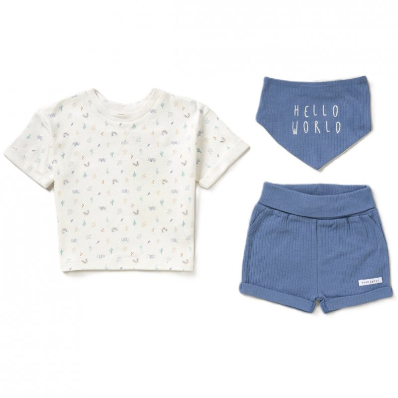 Baby Boys Organic T-shirt, Shorts & Reversible Bib