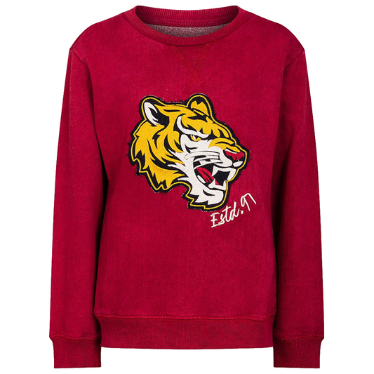 Boys Tiger Sweatshirt