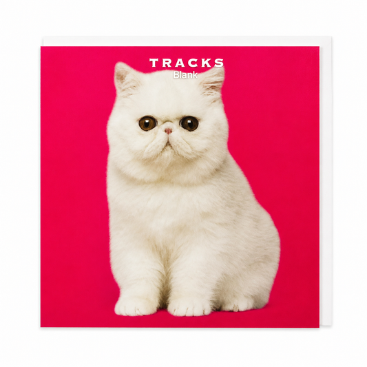 Cat Card
