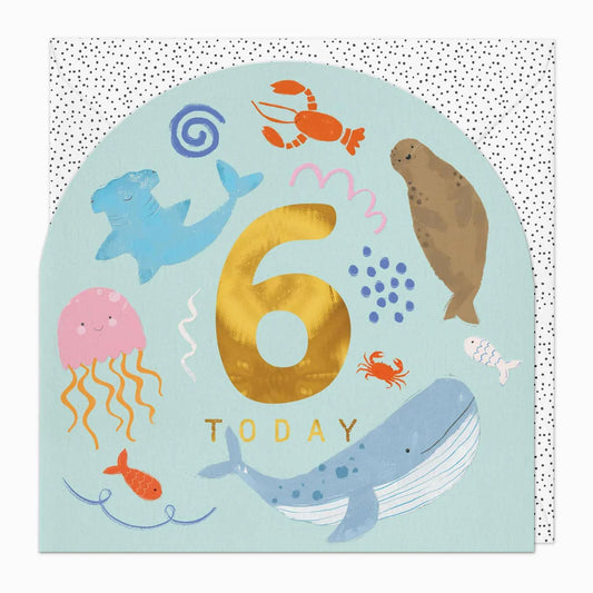 Little Joy 6th Birthday Card