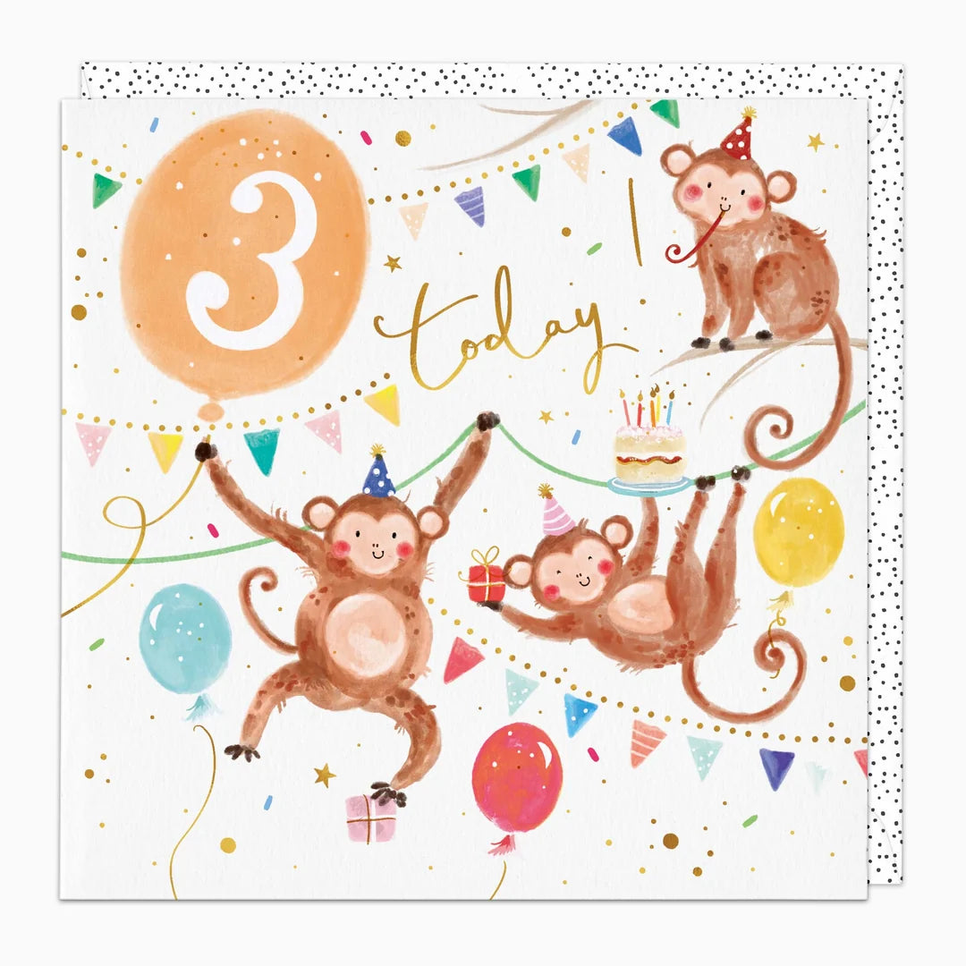 Monkey's 3rd Birthday Card