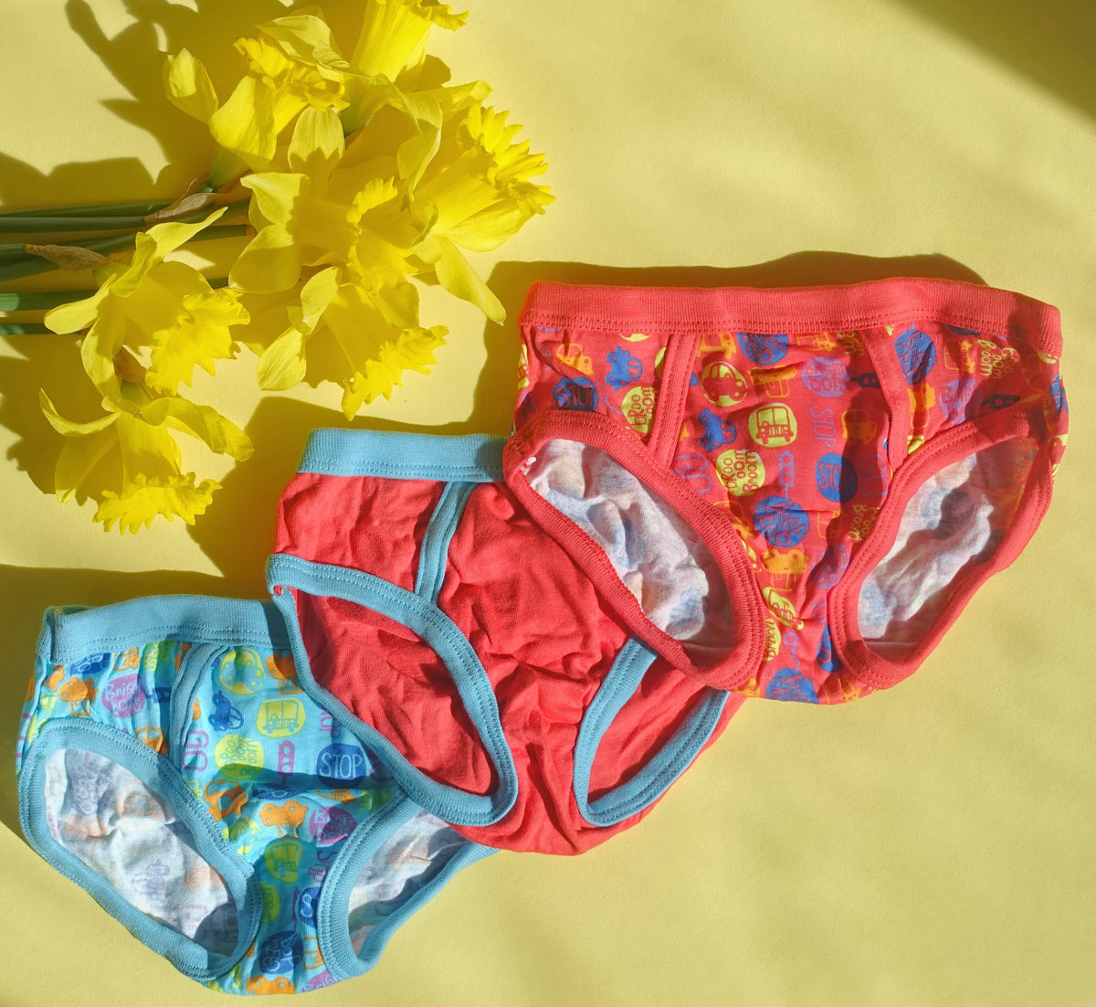 Boys 6 Pack of Briefs