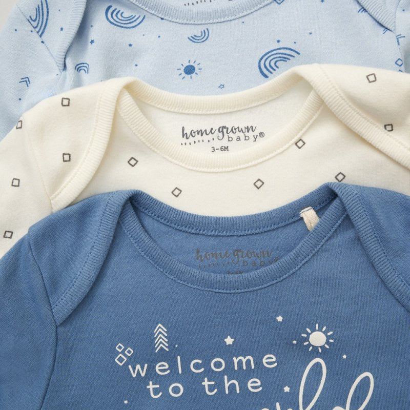 Baby Boys Organic Long Sleeve Bodysuits