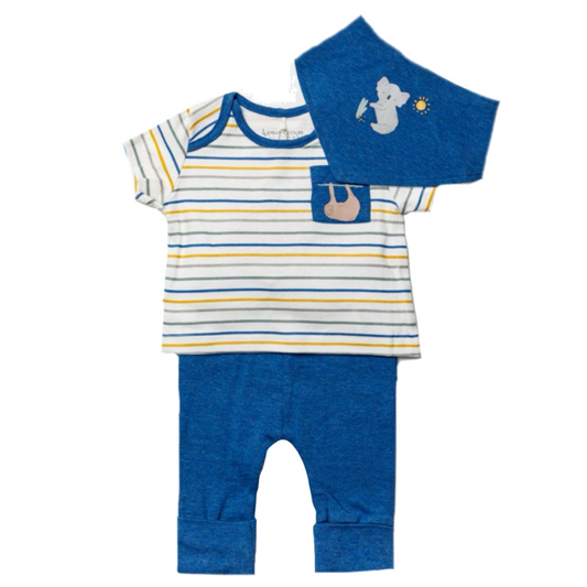 Baby Boys Organic 3 Piece Outfit