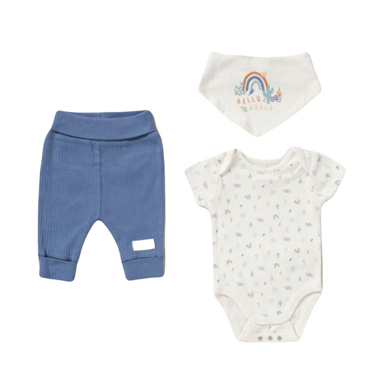 Baby Boys Organic 3 Piece Outfit