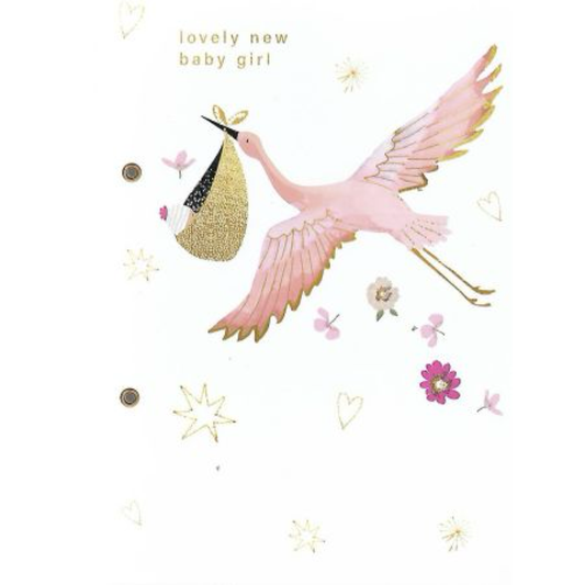 Lovely New Baby Girl Greeting Card