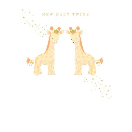 New Baby Twins Greeting Card