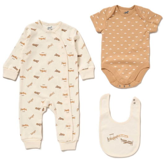 Baby Boys Sustainable Gift Set