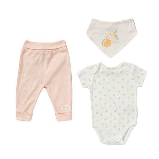 Baby Girls Organic 3 Piece Outfit
