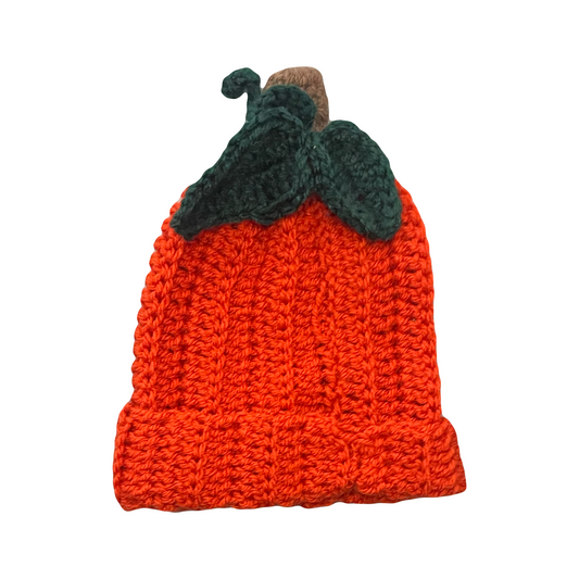 Hand Crocheted Pumpkin Hat