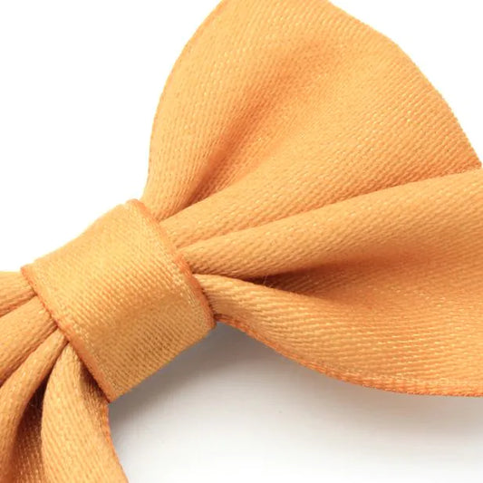 Set of 2 Satin Fabric Bow Clips