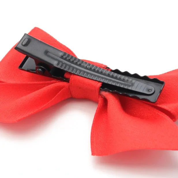 Set of 2 Satin Fabric Bow Clips