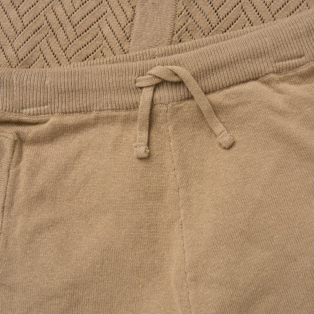 Boys Shirt & Shorts Outfit