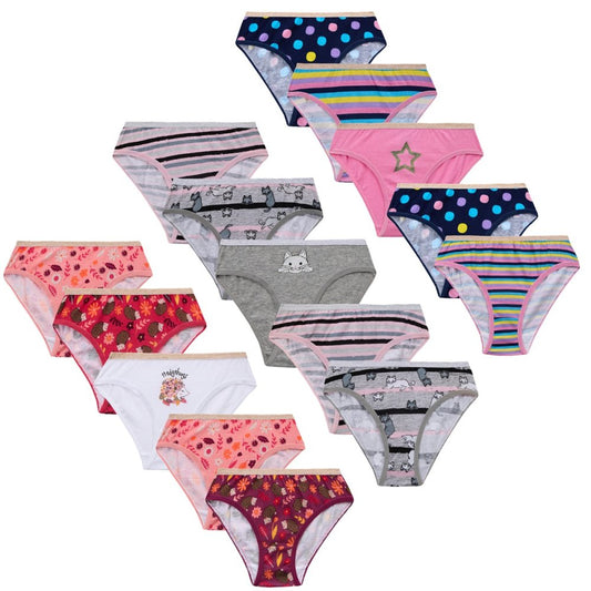 Girls 5 Pack of Briefs
