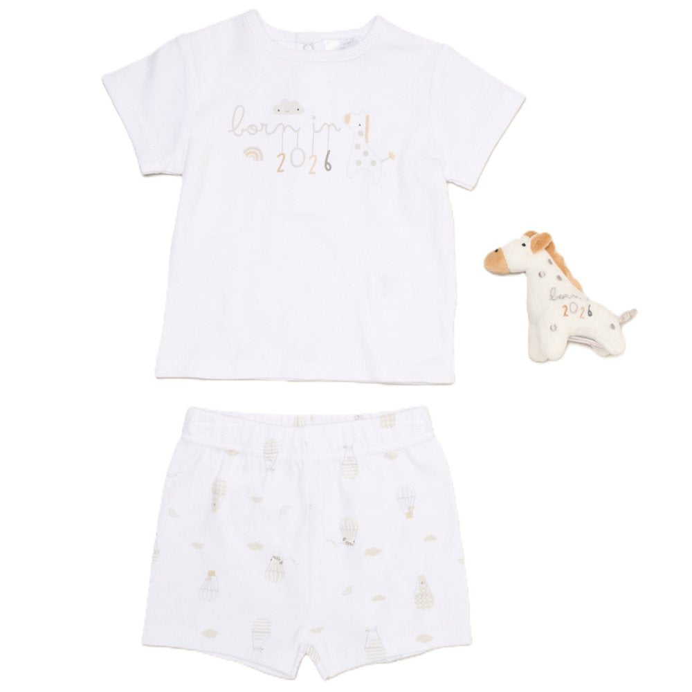 Baby Giraffe Born in 2026 Gift Set