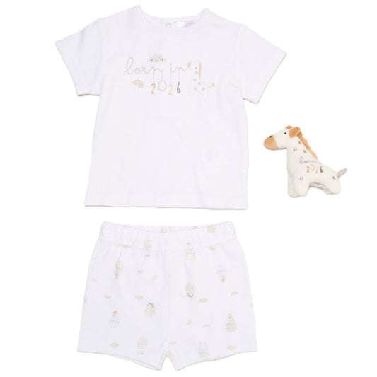 Baby Giraffe Born in 2026 Gift Set