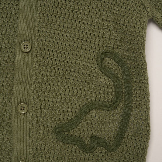 Baby Boys Knit Dinosaur Outfit