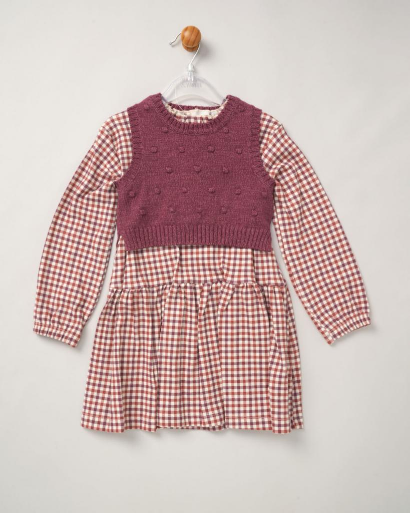 Baby Girls Check Dress & Sweater Vest