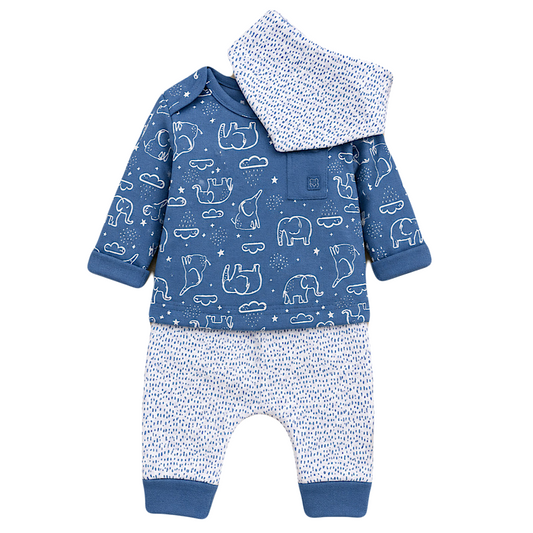 Baby Boys Organic 3 Piece Outfit