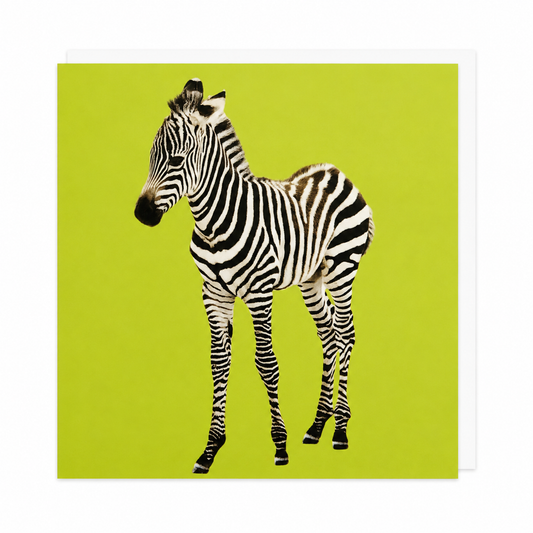 Zebra Card